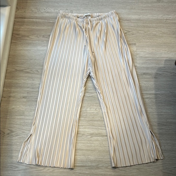 Cream Wide-Leg Pleated Dress Pants Size Large - Picture 2 of 9